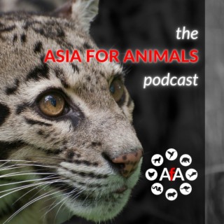 Welcome to the Asia for Animals podcast!