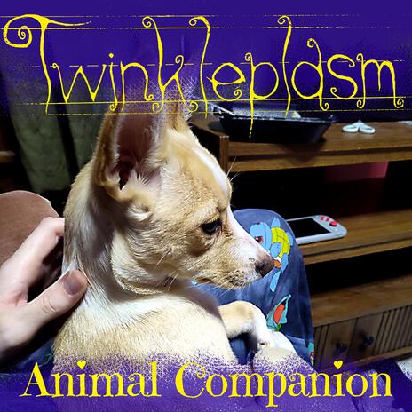 Animal Companion