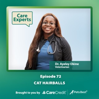 Cat Hairballs - Dr. Ayeley Okine
