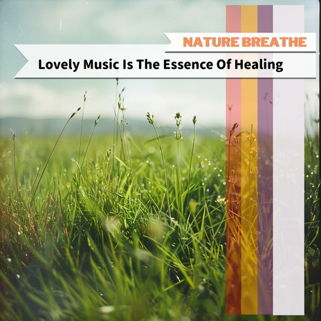 Aromatherapy for the Mind | Boomplay Music