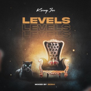 Levels lyrics | Boomplay Music