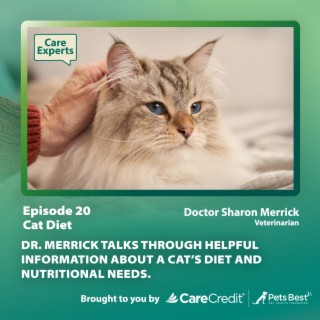 Cat Diet - Dr. Sharon Merrick