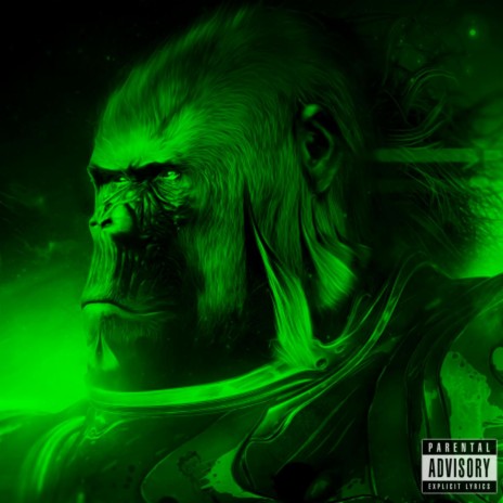 Gorilla | Boomplay Music