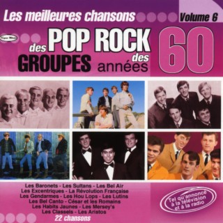 Les plus belles chansons des groupes des années 60 Volume 6