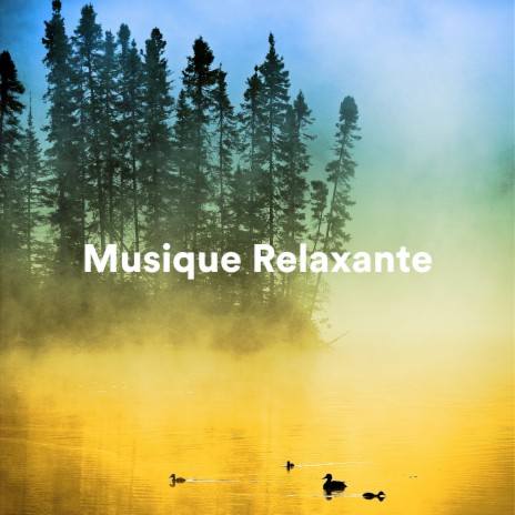 Daydream ft. Musique Douce Ensemble Master & Musique Relaxante pour Étudier | Boomplay Music