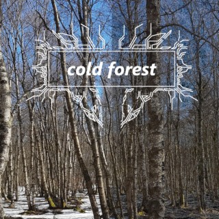 cold forest