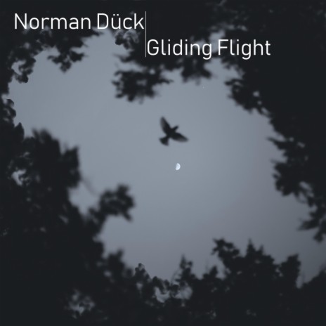 Gliding Flight | Boomplay Music