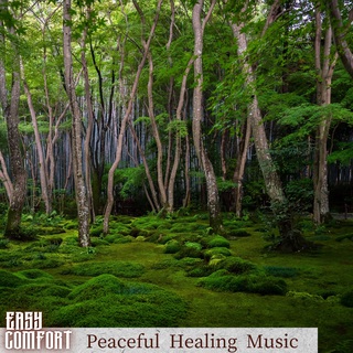 Peaceful Healing Music