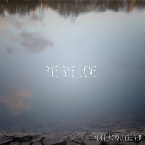 Bye Bye Love | Boomplay Music