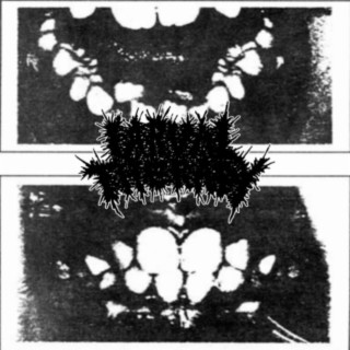 larval therapy single