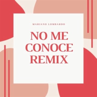 No Me Conoce Remix