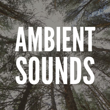 Ambient sounds download