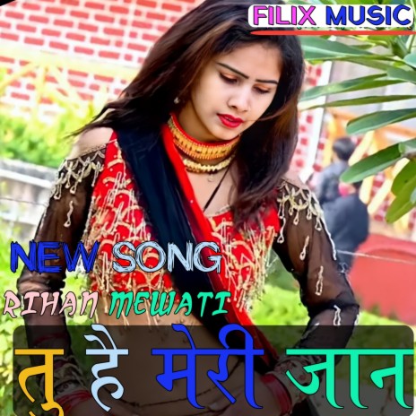 Tu hai meri jaan | Boomplay Music