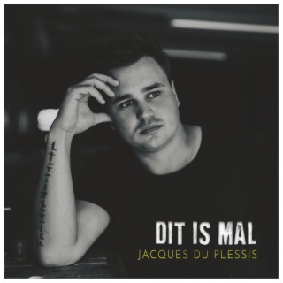 Jacques Du Plessis