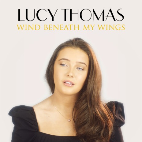 Wind Beneath My Wings | Boomplay Music