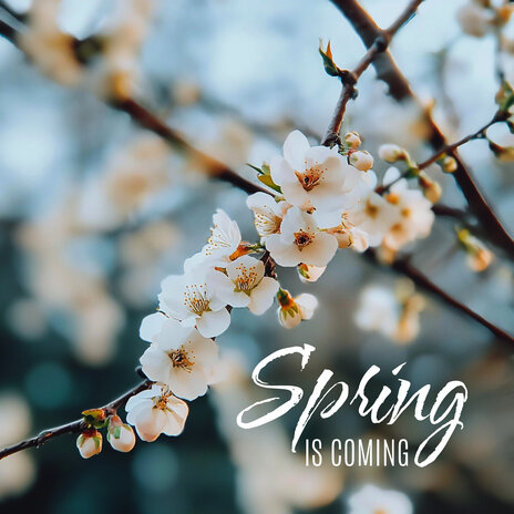 Spring Is Coming