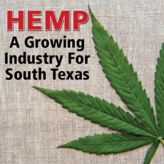 HEMP A Growing Industry For South Texas