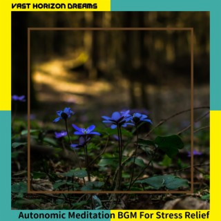 Autonomic Meditation BGM For Stress Relief