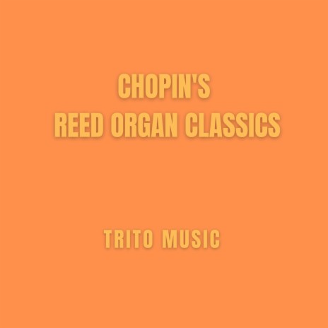Sonate 2 b-moll Reed Organ Edition