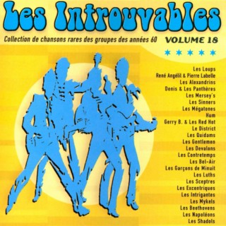 Collection de chanson rares des groupes des années 60 Volume 18