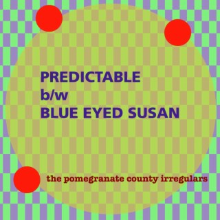 Predictable b/W Blue Eyed Susan