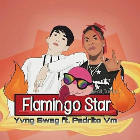 Flamingo Star ft. Pedrito Vm | Boomplay Music