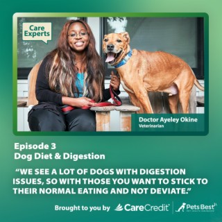Dog Diet & Digestion - Dr. Ayeley Okine
