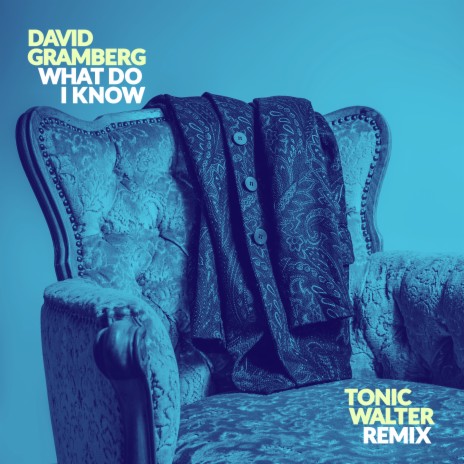 What Do I Know (Tonic Walter Remix) ft. Tonic Walter | Boomplay Music