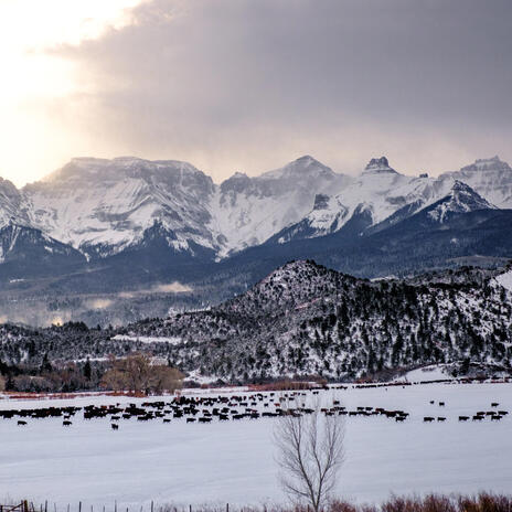 Colorado Snow, for Michael 1.25.25 Piano Portraits | Boomplay Music