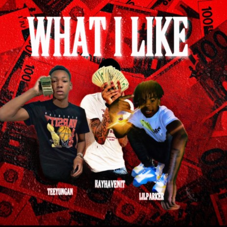 What I Like ft. Rayhavinit & LilParker | Boomplay Music