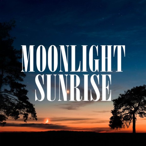 Moonlight Sunrise | Boomplay Music