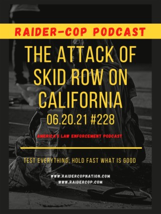 The Attack Of Skid Row On California #228