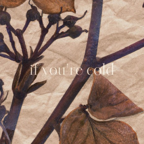 if you're cold