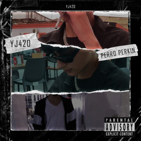 Perro Perkin | Boomplay Music