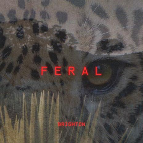 Feral | Boomplay Music