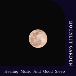 Healing Music And Good Sleep