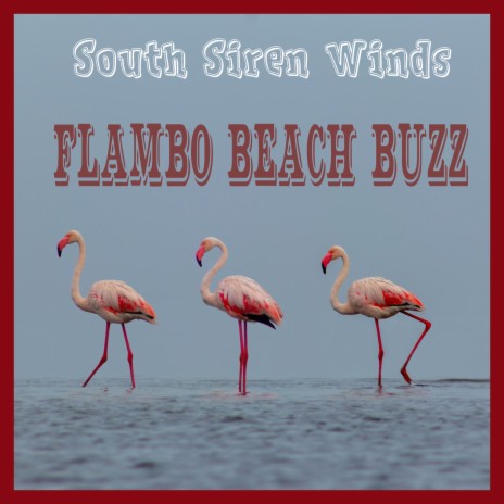 Flambo Beach Buzz | Boomplay Music