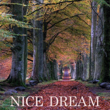 NICE DREAM | Boomplay Music