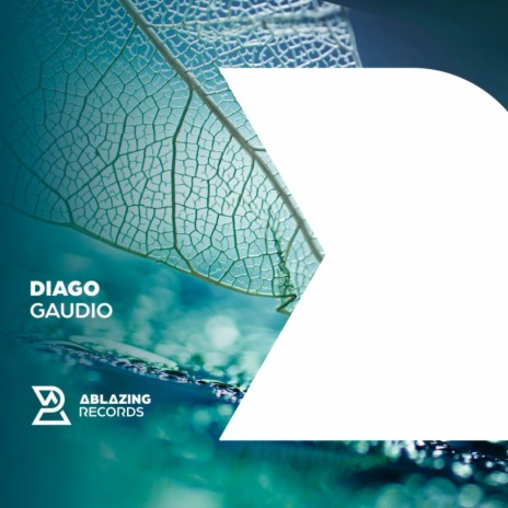 Gaudio (Extended Mix) | Boomplay Music