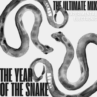 The Year of the Snake (The Ultimate Mix: Experimental Electronic)