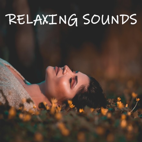 sound meditation | Boomplay Music