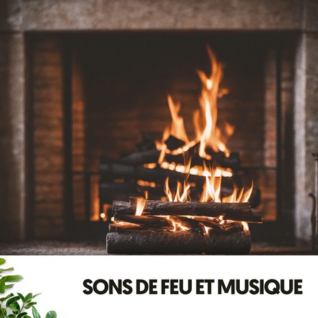 Sonate au rayon de lune flottant ft. Fireplace Sounds & Travail Bureau France