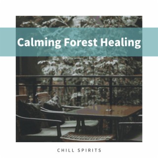 Calming Forest Healing