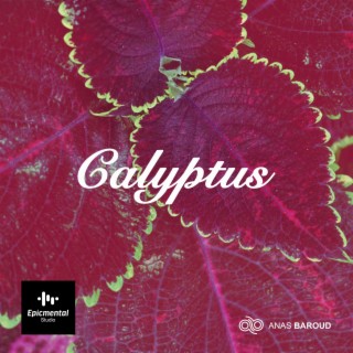 Calyptus (Documentary Music)