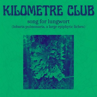 Song for Lungwort (lobaria pulmonaria, a large epiphytic lichen)