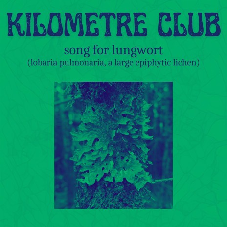 Song for Lungwort (lobaria pulmonaria, a large epiphytic lichen) | Boomplay Music