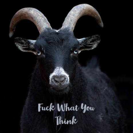 Fuck What You Think | Boomplay Music