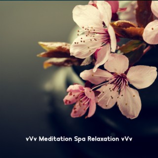 vVv Meditation Spa Relaxation vVv