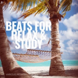 Beats For Relax & Study
