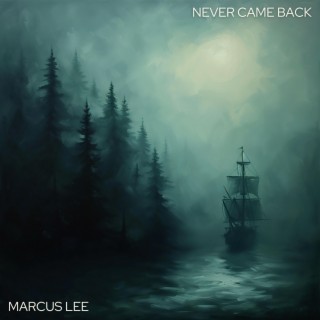 Never Came Back lyrics | Boomplay Music